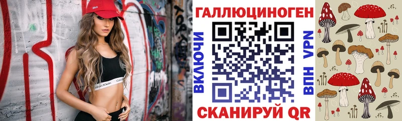 Псилоцибиновые грибы Psilocybe  где купить наркотик  Пикалёво 